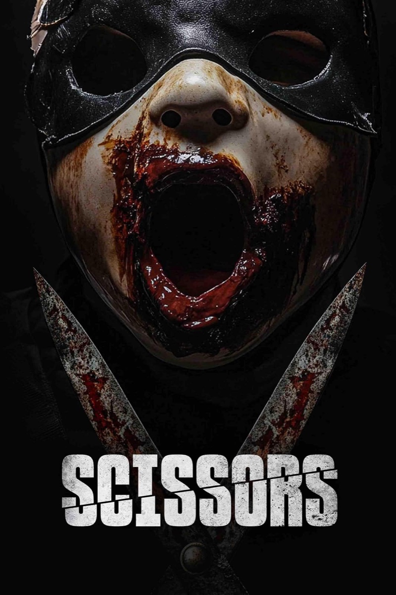 Scissors poster